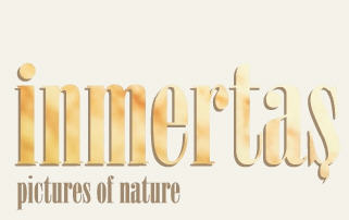 Inmertas Inegol Mermer Sanayii Tic. Ltd. Sti.,
