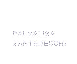 Palmalisa Zantedeschi s.r.l.