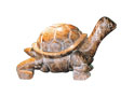Tortoise NO:005