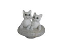 Cat NO:008