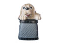 Dog NO:038