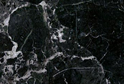 Oil Green