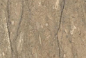 Rustic Green(Light)