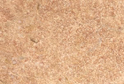Rosa Levante