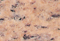Salisbury Pink
