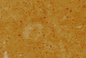 Indian Gold