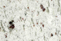 White Galaxy
