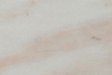 Rosa Bellisima