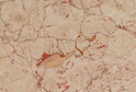 Rosa lia