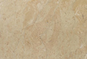 Sahara Somon