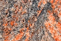 Kinawa Red