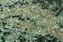Verde Maritaca