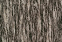 Xishi Black