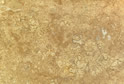 Zhongyuan Cream