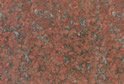 Poet Red