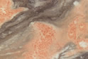 Tiger-Skin Yellow Cili