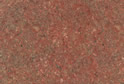 Rose Red Tianquan