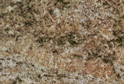 Amazon Brown