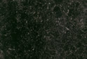 Colour Cola Grain