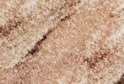 Amazon Brown