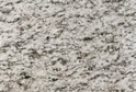 Sesame Green Hami