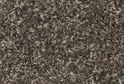 Black Shiyang
