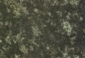 Verde Veneziano