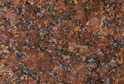 Jhansi Red