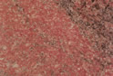 Multicolor Red