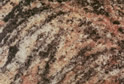 Tiger Skin