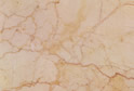 Anan Fossil