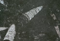 Nero Galassia Fossice