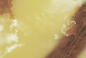 Green Onyx_B
