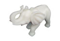 Elephant NO:008
