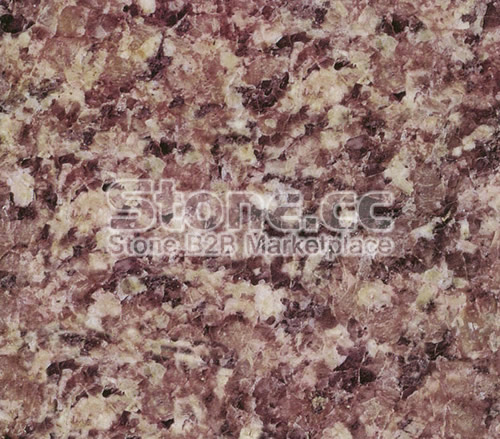African Lilac African Lilac