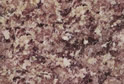 African Lilac