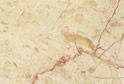 Rosalia