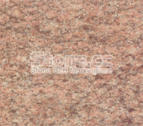 Camelia Pink