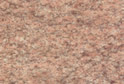 Camelia Pink