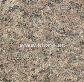 LEOPARD FLOWER Granite