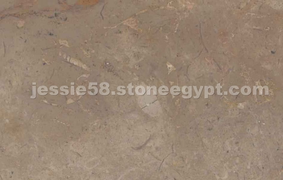 Golden Africa Marble