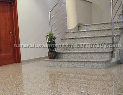 Granite steps, granite riser