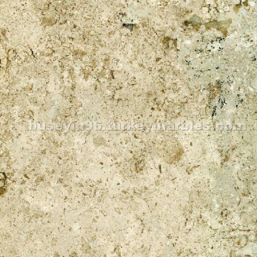 Aizona Cream Travertine