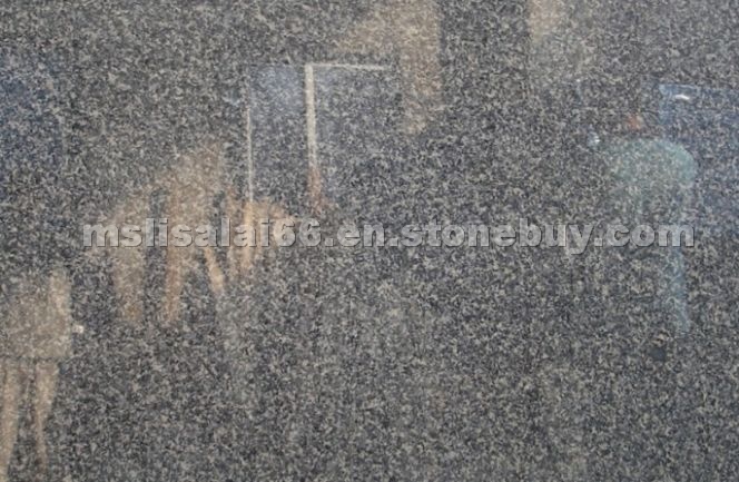 Leopard Skin Granite Slab