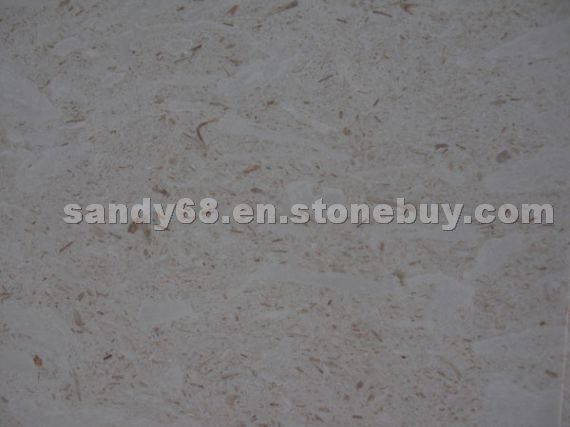 Lunar Beige Marble
