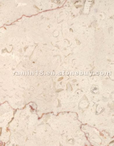 Shell Beige