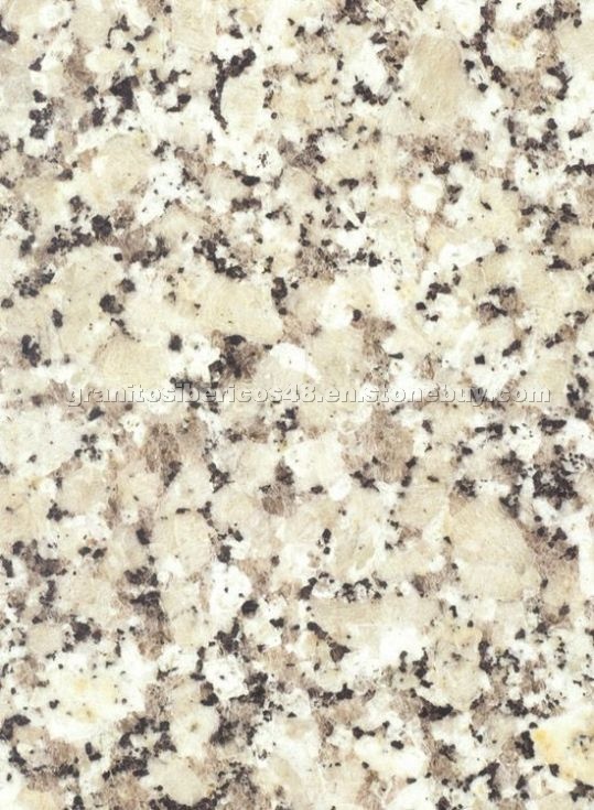 Gris Perla Crema