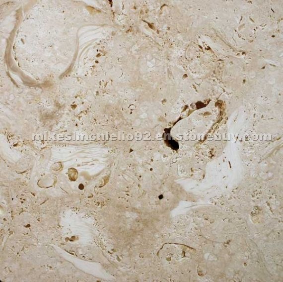 Ostra Shellstone
