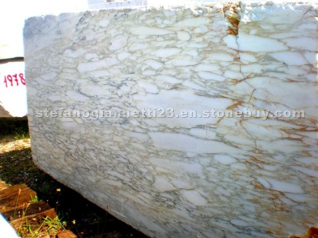 Calacatta Ovulo Tipo Vagli Gold