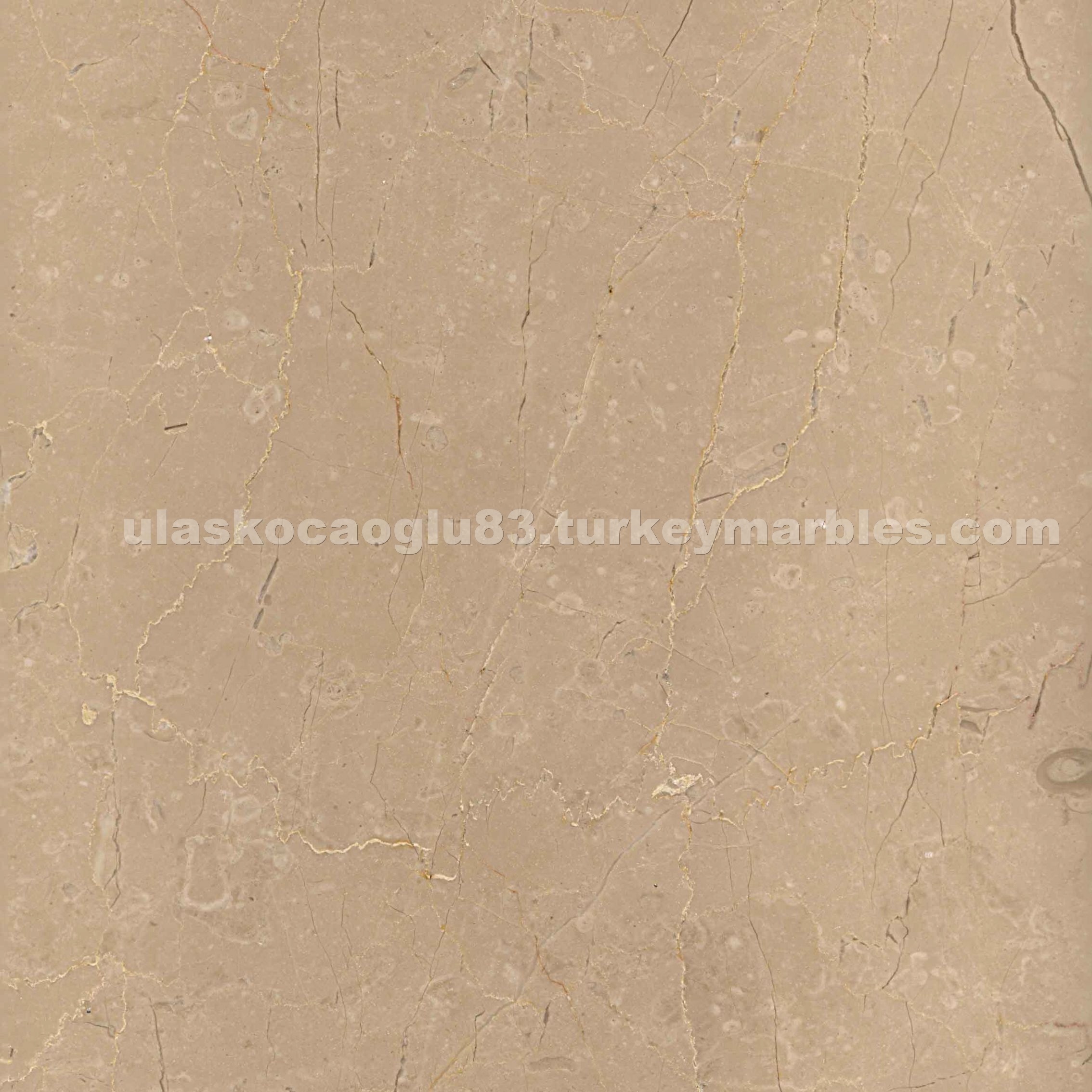 Cream Caramel Beige marble